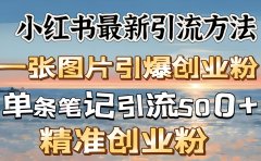 红书最新引流方法，一张图片引爆创业粉，单条笔记引流500＋精准创业粉