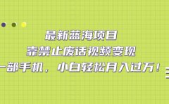 最新蓝海项目,靠禁止废话视频变现,一部手机,小白轻松月入过万!