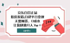 京东自营正品,低价渠道,自建平台变现,无需囤货,0成本,让你快速月入3w+