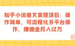 知乎小说推文变现项目:操作简单,可流程化多平台操作,赚佣金月入过万