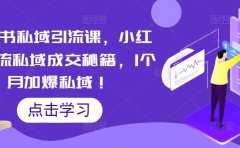 小红书私域引流课,小红书引流私域成交秘籍,1个月加爆私域