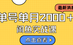 咸鱼虚拟资料新模式,月入2w+,可批量复制,单号一天50-60没问题 多号多撸