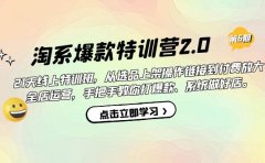 淘系爆款特训营2.0【第六期】从选品上架到付费放大 全店运营 打爆款 做好店