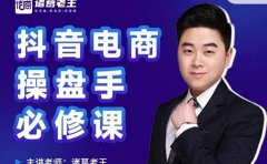 诸葛老王-抖音电商操盘手必修课:顶层设计,起号破局,爆款运营,数据分析
