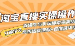 淘宝直搜实操操作 直通车与手淘搜索完美结合(高级运营课程+直搜精华实战)