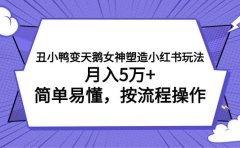 丑小鸭变天鹅女神塑造小红书玩法,月入5万+,简单易懂,按流程操作