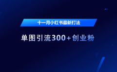 十一月，小红书最新打法，单图引流300+创业粉