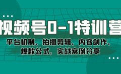 视频号0-1特训营：平台机制、拍摄剪辑、内容创作、爆款公式，实战案例分享