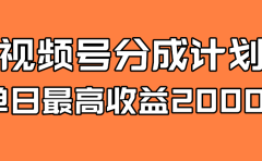 全新蓝海 视频号掘金计划 日入2000+