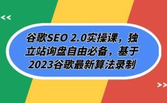 谷歌SEO 2.0实操课,独立站询盘自由必备,基于2023谷歌最新算法录制(94节