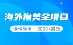 撸美金项目 无门槛 操作简单 小白一天50+美刀