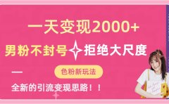 一天收款2000元,男粉不封号拒绝大尺度-色粉全新的变现方法