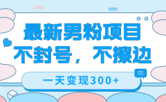 最新男粉变现,不擦边,不封号,日入300+(附1360张美女素材)