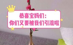 恭喜宝妈们:你们又要被我们引流了(教程+222g资料)