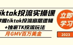 tiktok投流实操课：掌握tiktok投流底层逻辑+独家TK投流玩法