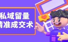 私域留量精准成交术，学习打造自己的私域流量，价值699元