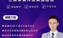 三叔-2022最新正价起号玩法，3小时干货内容，团队内测版