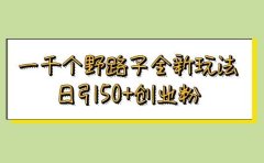 一千个野路子全新玩法 日引50+创业粉