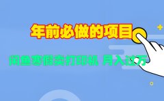寒假闲鱼卖打印机、投影仪,一个产品产品实现月入过万