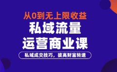 从0到无上限收益的《私域流量运营商业课》私域成交技巧，拔高财富转速