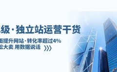 独立站运营干货：全面提升网站·转化率超过4%，轻松大卖 用数据说话