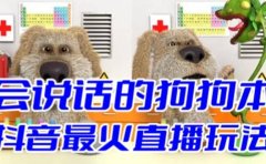 抖音无人直播玩法会说话的狗狗本弹幕礼物互动小游戏（游戏软件+开播教程）