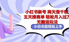 小红书新号两天涨千粉五天接商单轻松月入过万 无脑搬运玩法 小白也能轻...