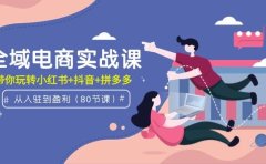 全域电商实战课:从入驻到盈利,带你玩转小红书+抖音+拼多多(80节课)