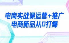 电商实战课运营+推广,电商新品从0打爆(99节视频课)