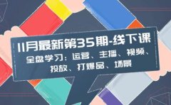 11月最新-35期-线下课：全盘学习：运营、主播、视频、投放、打爆品、场景