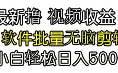 发视频撸收益,软件无脑批量剪辑,第一天发第二天就有钱
