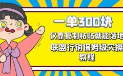 一单轻松300元,仅靠复制粘贴,每天操作一个小时,联盟行销保姆级出单教程