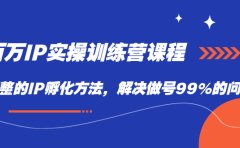 百万IP实战训练营课程,完整的IP孵化方法,解决做号99%的问题