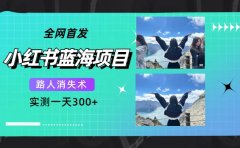 全网首发,小红书蓝海项目,路人消失术,实测一天300+(教程+工具)