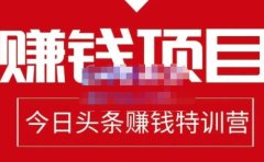 今日头条项目玩法,头条中视频项目,单号收益在50—500可批量