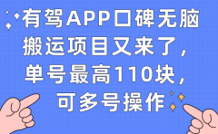 有驾APP口碑无脑搬运项目又来了,单号最高110块,可多号操作