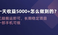 一天收益5000+怎么做到的?无脑搬运即可,长期稳定项目,一部手机可做