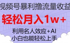 视频号暴利撸流量收益,小白也能轻松上手,轻松月入1w+