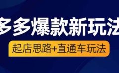 2023拼多多爆款·新玩法：起店思路+直通车玩法（3节精华课）