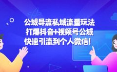 公域导流私域流量玩法:打爆抖音+视频号公域