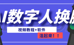 AI数字人换脸,可做直播(教程+软件)