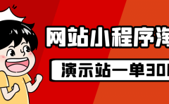 源码站淘金玩法,20个演示站一个月收入近1.5W带实操