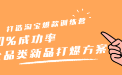 打造淘宝爆款训练营,90%成功率:全品类新品打爆方案