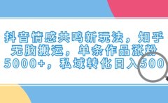 抖音情感共鸣新玩法，知乎无脑搬运，单条作品涨粉5000+，私域转化日入500