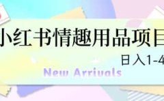 最新小红书情趣用品项目,日入1-4k