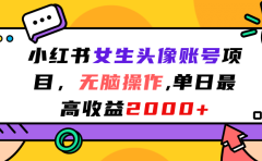 小红书女生头像账号项目,无脑操作,单日最高收益2000+