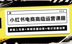 小红书电商高级运营课程：基础入驻篇+商城流量运营+笔记流量运营