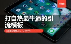 打自热最牛逼的引流模板，日引300+，二剪搬运嗖嗖上人