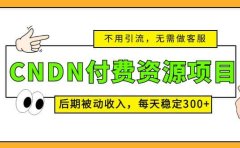 CNDN付费资源项目,不用引流,无需做客服,后期被动收入