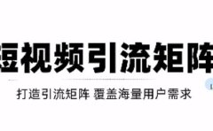 短视频引流矩阵打造,SEO+二剪裂变,效果超级好!【视频教程】